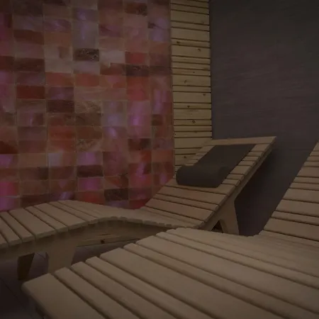 酒店 白色天使酒店 布勒伊-切尔维尼亚